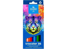 KOH-I-NOOR Trojhranné pastelky Triocolor 36 ks Tygr