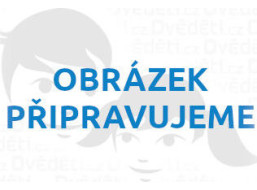 Mudpuppy Puzzle Piknik v lese 500 dílků