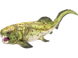 Mojo Dunkleosteus