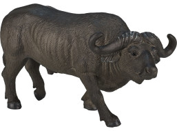 Mojo Buvol africký
