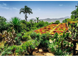 RAVENSBURGER Puzzle Kouzelné zahrady: Botanická zahrada, Madeira 1000 dílků