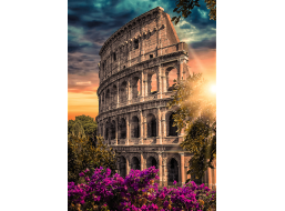 TREFL Puzzle Premium Plus Photo Odyssey: Koloseum, Řím, Itálie 1000 dílků
