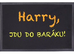 Rohožka Harry, jdu do baráku 40x60 cm