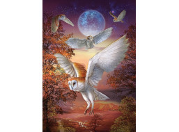 ART PUZZLE Puzzle Noční sovy 1000 dílků