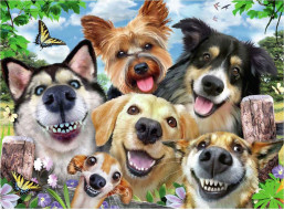 RAVENSBURGER Puzzle Psí selfie 500 dílků