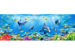 NOVA Panoramatické puzzle V hlubinách moře 1000 dílků
