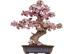 RoboTime 3D dřevěná skládačka Bonsaj sakura
