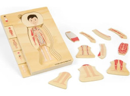 Bigjigs Toys Dřevěné puzzle Anatomie chlapec