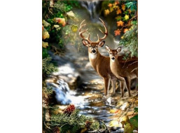NORIMPEX Diamantové malování Jelen a srnka u lesního potoka 30x40cm
