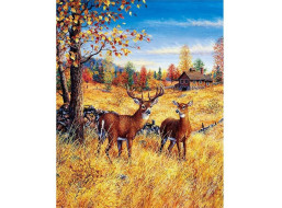 NORIMPEX Diamantové malování Jeleni na poli 30x40cm