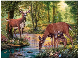 NORIMPEX Diamantové malování Jelen u potoka 30x40cm