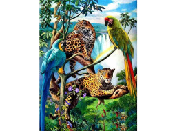 NORIMPEX Diamantové malování Papoušci a leopardi 30x40cm