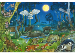 SCHMIDT Puzzle Lesní zvířátka v noci 100 dílků