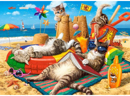 CASTORLAND Puzzle Letní vibrace 300 dílků