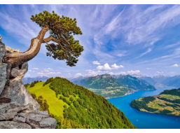 CASTORLAND Puzzle Pohled na jezero Uri, Švýcarsko 1000 dílků