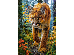 CASTORLAND Puzzle Puma americká v lese 1500 dílků