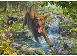 SCHMIDT Puzzle Retrívr na jaře 1000 dílků