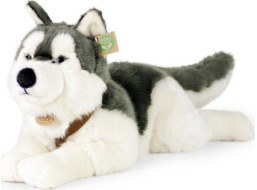 Rappa Plyšový pes husky s obojkem ležící 60 cm ECO-FRIENDLY
