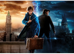AQUARIUS Puzzle Harry Potter: Fantastická zvířata 1000 dílků