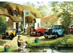 GIBSONS Puzzle Krmení kachen 500 dílků