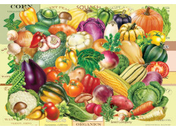 GRAFIKA Puzzle Zahradníkův poklad 1000 dílků