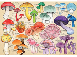HOP Puzzle Houbová mánie 1000 dílků