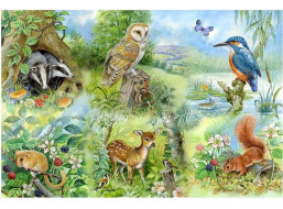 HOP Puzzle Studium přírody BIG 250 dílků
