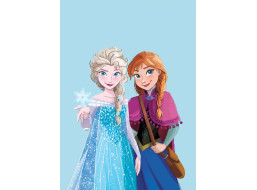 Dětská deka POLAR 100x140 cm - Frozen - Elsa a Anna