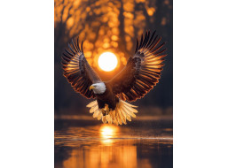 ART PUZZLE Puzzle Prosluněná křídla 1000 dílků
