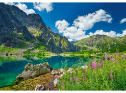 CASTORLAND Puzzle Czarny Staw pod Rysami, Tatry, Polsko 500 dílků