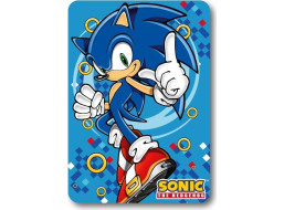 Dětská deka POLAR 100x140 cm - Ježek Sonic