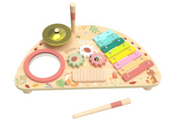 2Kids Toys Multifunkční hudební deska
