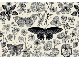 INTERDRUK Puzzle Flowers: Motýli a květiny 500 dílků