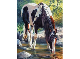 NORIMPEX Diamantové malování Kůň v řece 30x40cm