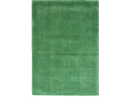 Ručně všívaný kusový koberec Asra wool sv. zelená
