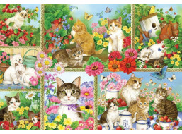BLUEBIRD Puzzle Kočky a koťata 1000 dílků