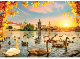 MAGNOLIA Puzzle Labutě u Karlova mostu 1000 dílků