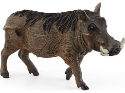 SCHLEICH Wild Life® 14843 Prase bradavičnaté