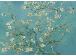 ANATOLIAN Puzzle Mandlový květ XL 700 dílků