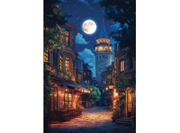 ANATOLIAN Puzzle Galata za úplňku 500 dílků