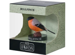 Mojo Hýl obecný v krabičce