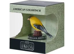 Mojo Stehlík americký v krabičce