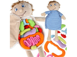 Panenka pro učení anatomie - chlapec