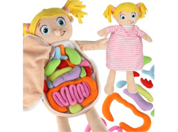 Panenka pro učení anatomie - dívka