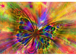 BLUEBIRD Puzzle Pestrobarevný motýl 1000 dílků