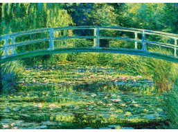 BLUEBIRD Puzzle Lekníny 1000 dílků