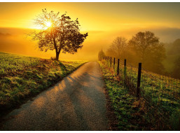 RAVENSBURGER Puzzle Ráno ve zlatých paprscích 1000 dílků