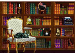 BLUEBIRD Puzzle Vintage knihovna 1000 dílků