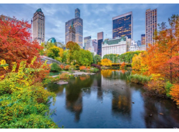 DINO Puzzle Central Park 500 dílků