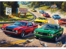 ANATOLIAN Puzzle Milovník rychlosti XL 260 dílků